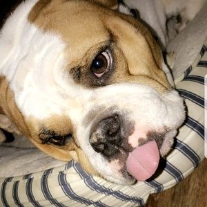 Meet your Posher, Donna